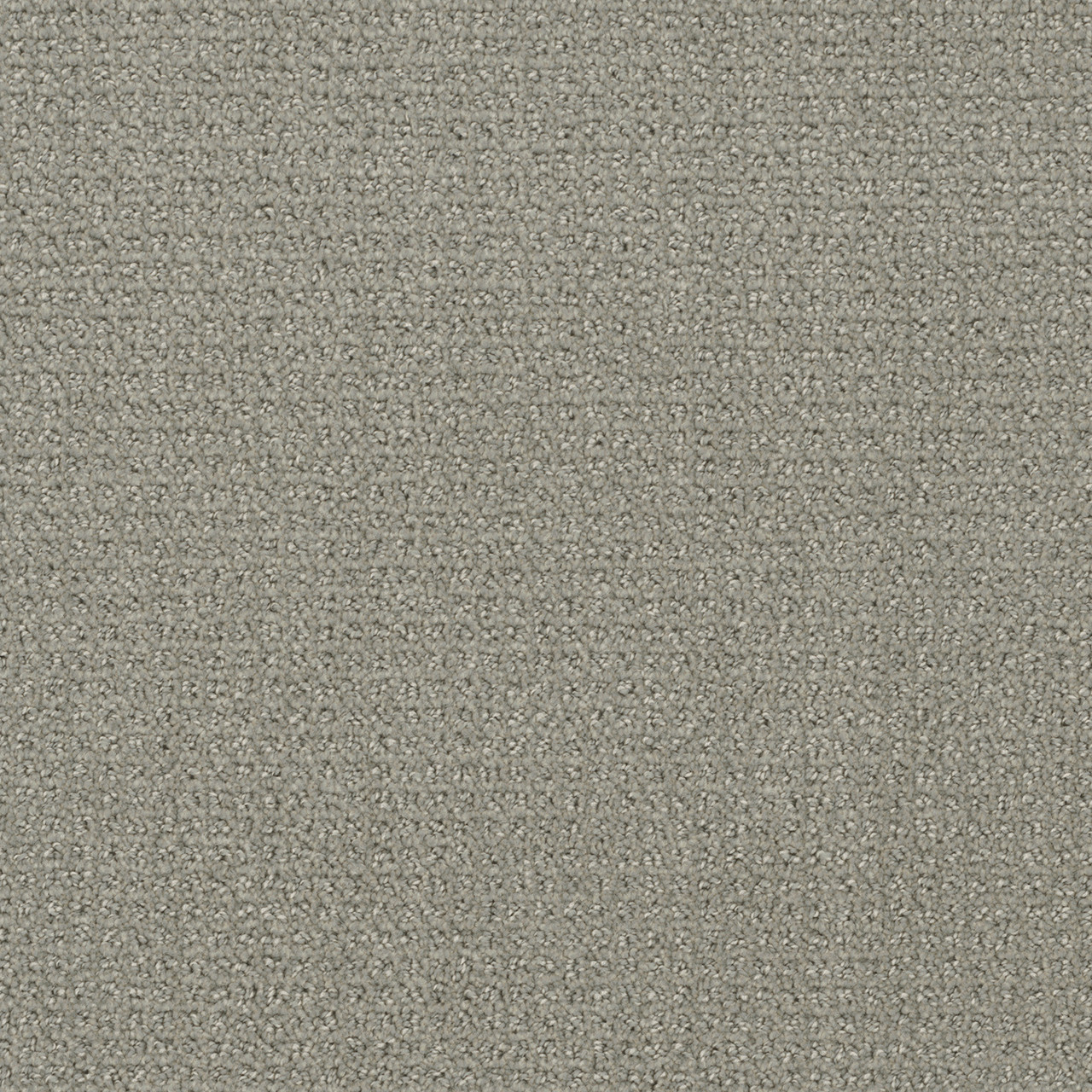 Dreamweaver Carpet Pinpoint Graystone Carpet 2870_6341