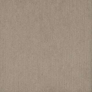 Dreamweaver Carpet Smooth Sailing Dulce Carpet 2875_2937