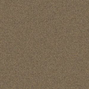 Mohawk Aladdin Commercial Scholarship II Sienna Carpet Tile 2B101-837