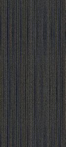 Mohawk Aladdin Commercial Complex Reasoning Awareness Carpet Tile 2B171-568