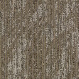 Mohawk Aladdin Commercial Total Visual Empower Wow Carpet Tile 2B59-858