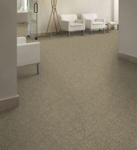 Mohawk Aladdin Commercial Brilliantly Amazed Fantastic Look Carpet Tile 2B60-979