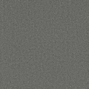 Dreamweaver Carpet Broadcast Plus Granite Peaks Carpet 3125_190