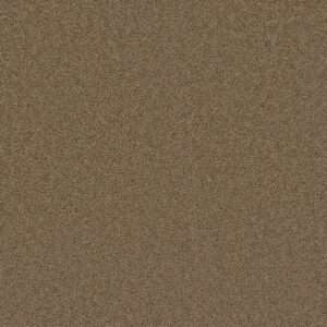 Dreamweaver Carpet Broadcast Plus Honey Beige Carpet 3125_510