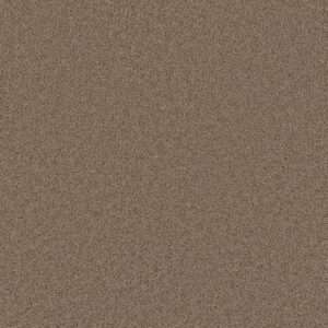 Dreamweaver Carpet Broadcast Plus Doeskin Carpet 3125_530