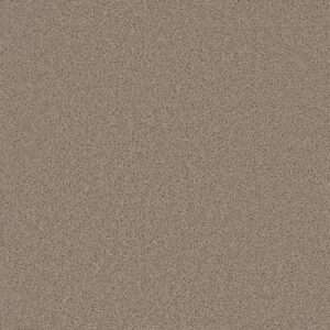 Dreamweaver Carpet Broadcast Plus Flax Beige Carpet 3125_535