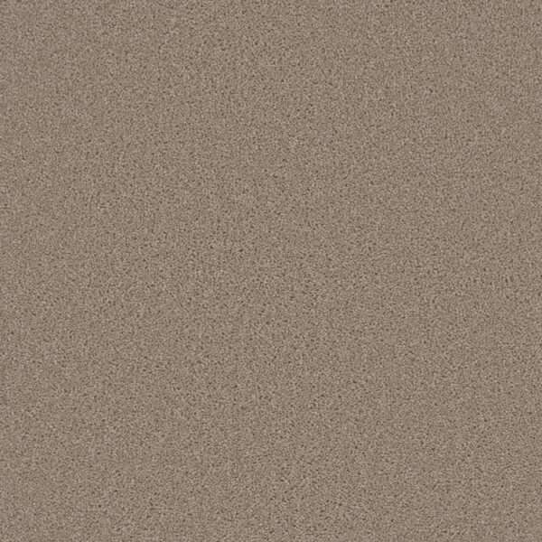 Dreamweaver Carpet Broadcast Flax Beige Carpet 3025_535