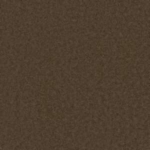 Dreamweaver Carpet Broadcast Plus Latte Carpet 3125_550