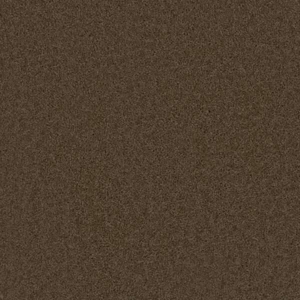 Dreamweaver Carpet Broadcast Plus Latte Carpet 3125_550