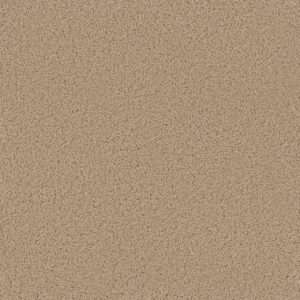 Dreamweaver Carpet Broadcast Cookie Dough Carpet 3025_705
