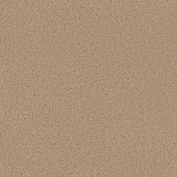 Dreamweaver Carpet Broadcast Cookie Dough Carpet 3025_705