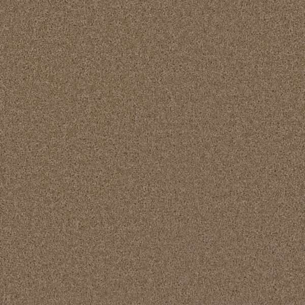Dreamweaver Carpet Broadcast Sandstone Carpet 3025_715