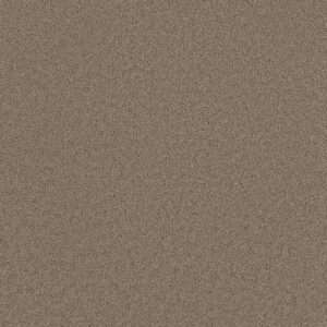 Dreamweaver Carpet Broadcast Plus Ash Carpet 3125_775