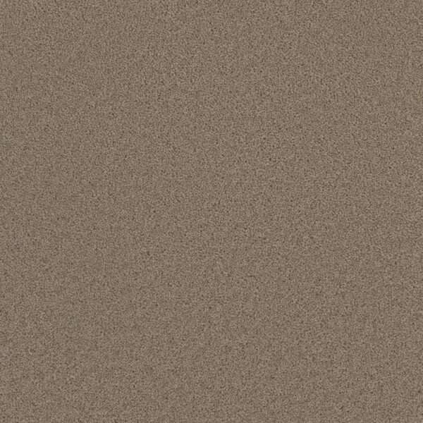 Dreamweaver Carpet Broadcast Ash Carpet 3025_775