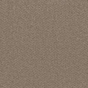 Dreamweaver Carpet Broadcast Plus Almond Carpet 3125_782