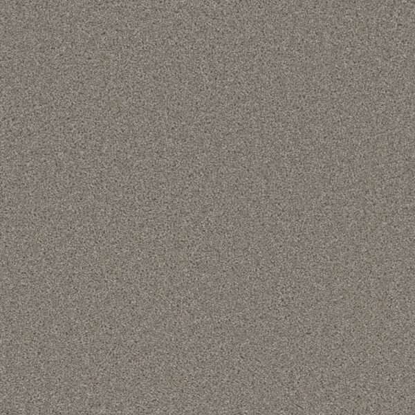 Dreamweaver Carpet Broadcast Plus Silver Birch Carpet 3125_800