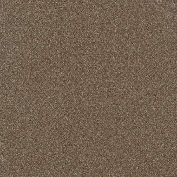 Dreamweaver Carpet Broadcast Chestnut Carpet 3025_806