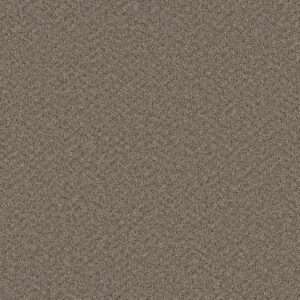 Dreamweaver Carpet Broadcast Plus Cinder Carpet 3125_835