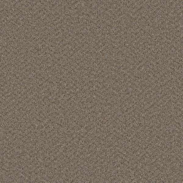 Dreamweaver Carpet Broadcast Plus Cinder Carpet 3125_835