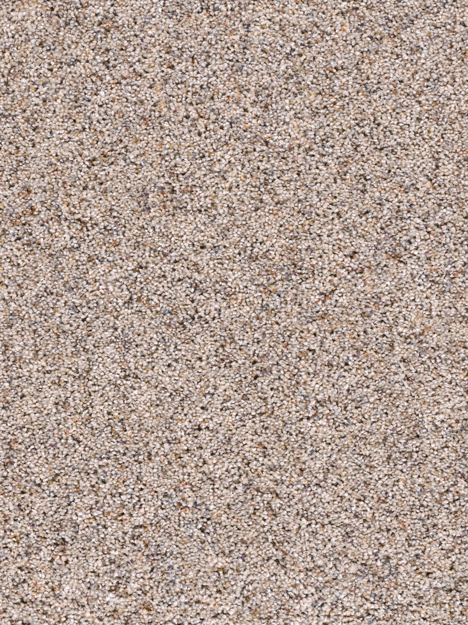 Dreamweaver Carpet Confetti II Ivory Tower Carpet 3148_406