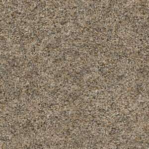 Dreamweaver Carpet Confetti I Harmonic Tan Carpet 3138_795