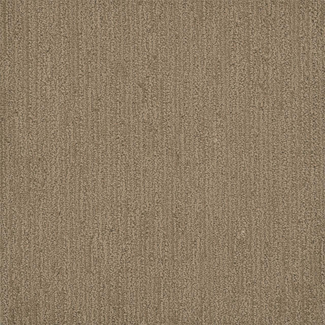 Dreamweaver Carpet Surfside Tanglewood Carpet 3228_5069