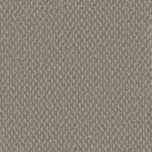 Dreamweaver Carpet Galactic Pebble Hill Carpet 3230_2081