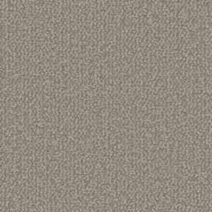 Dreamweaver Carpet Interstellar Pebble Hill Carpet 3236_2081