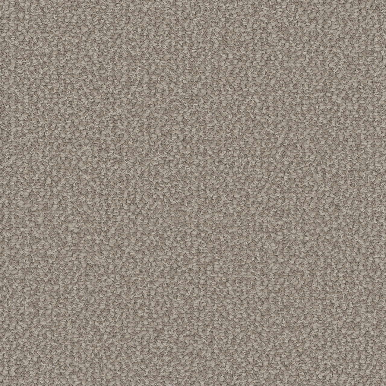 Dreamweaver Carpet Interstellar Pebble Hill Carpet 3236_2081