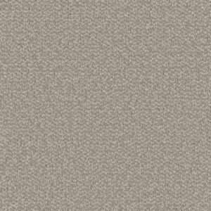 Dreamweaver Carpet Interstellar Ivory Coast Carpet 3236_2143