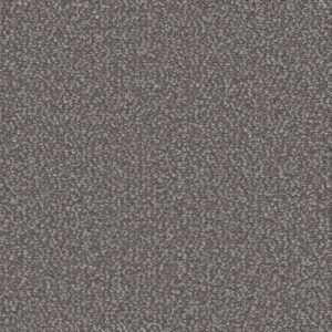 Dreamweaver Carpet Interstellar Panther Carpet 3236_2238