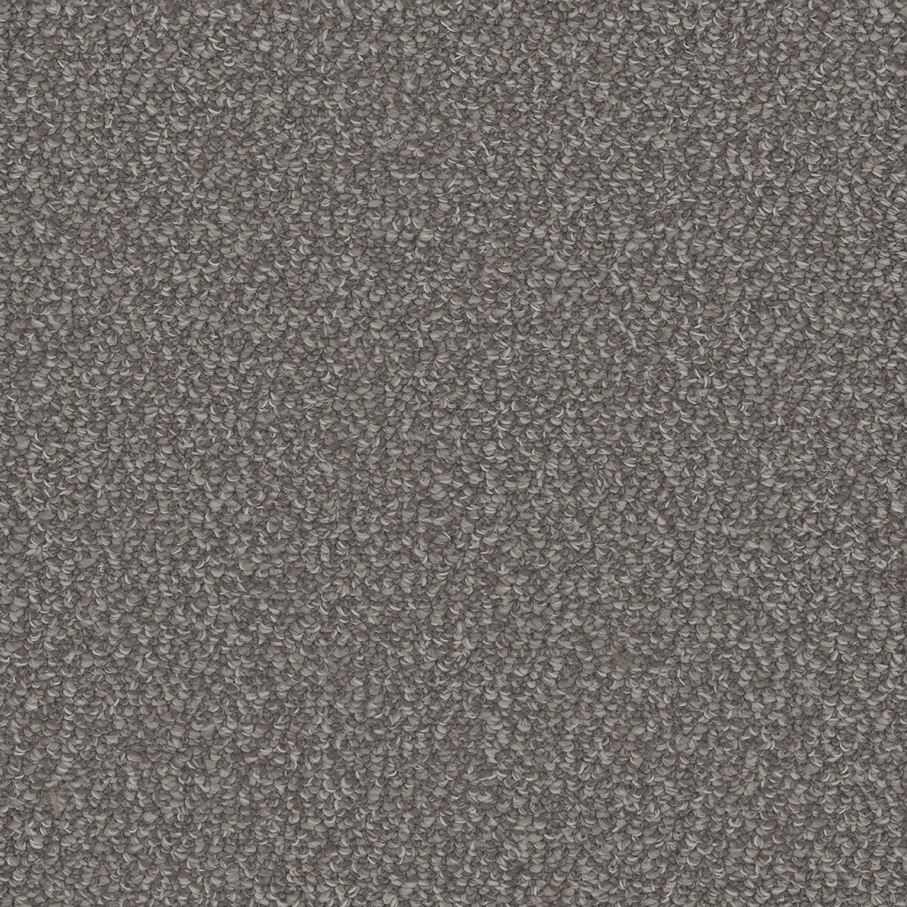 Dreamweaver Carpet Interstellar Panther Carpet 3236_2238