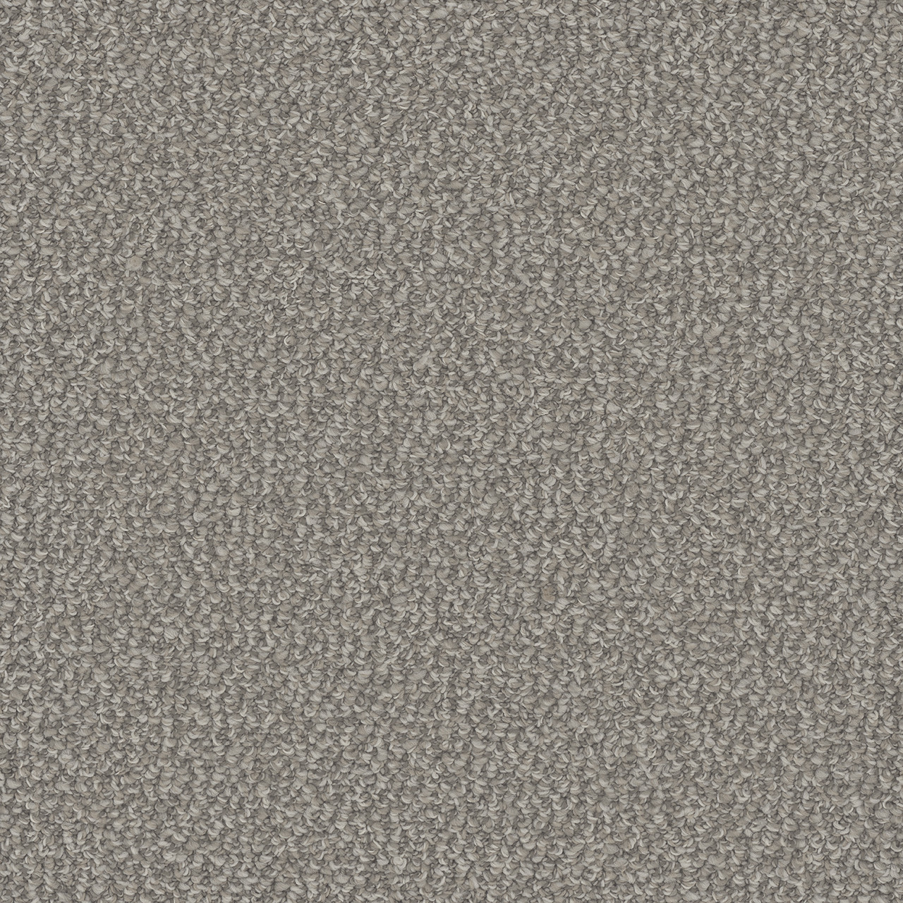 Dreamweaver Carpet Interstellar Cactus Carpet 3236_2328