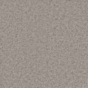 Dreamweaver Carpet Natural Wonder I Aruba Breeze Carpet 3345_109