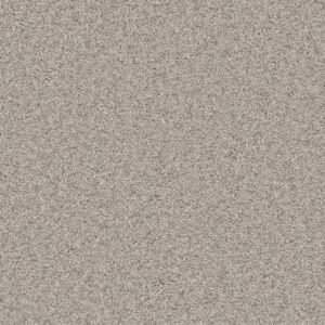 Dreamweaver Carpet Natural Wonder I Ice Fog Carpet 3345_141