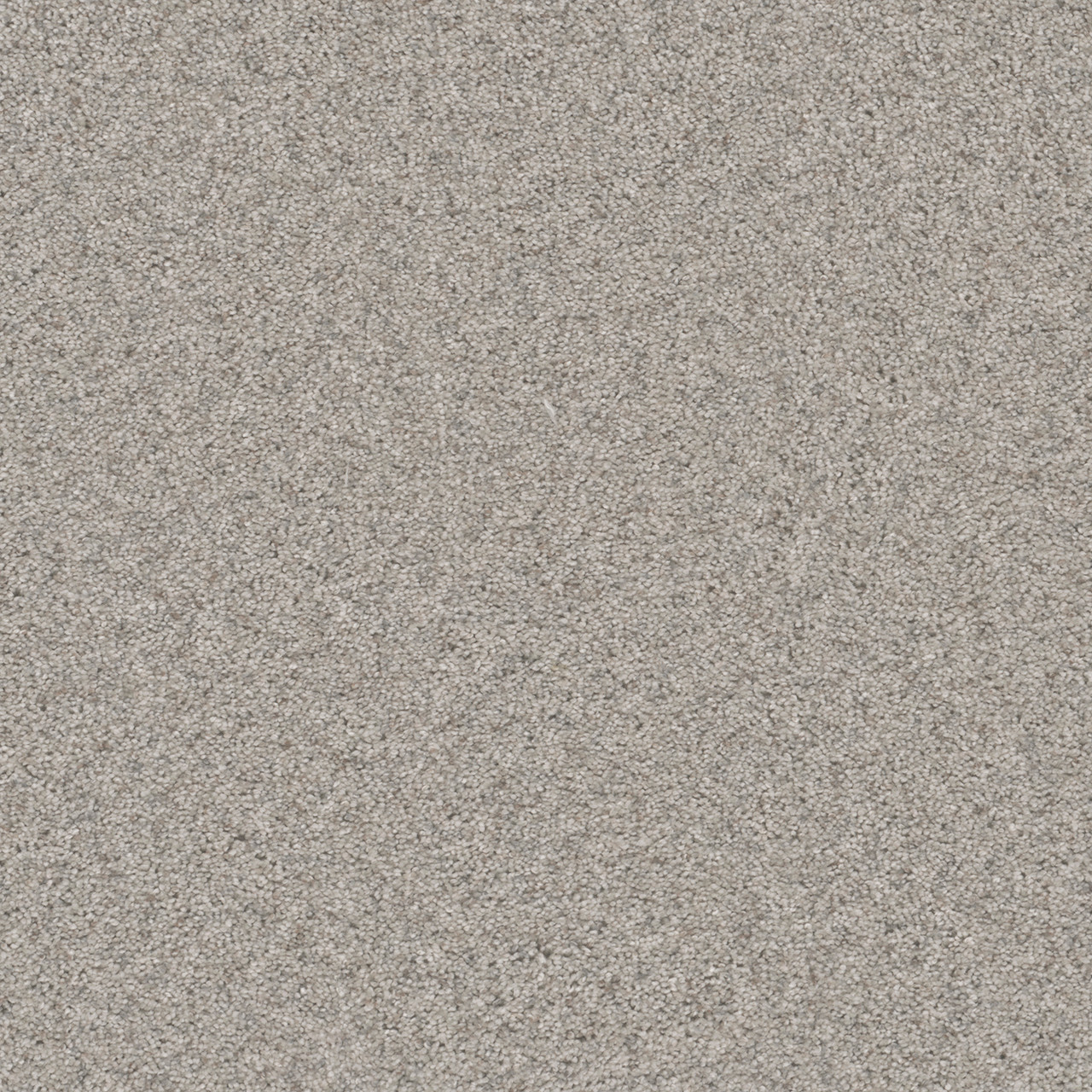 Dreamweaver Carpet Natural Wonder II Ice Fog Carpet 3355_141