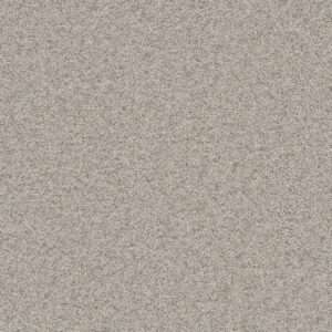 Dreamweaver Carpet Natural Wonder I Out of Sight Carpet 3345_436