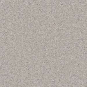 Dreamweaver Carpet Natural Wonder I Ivory Mist Carpet 3345_460