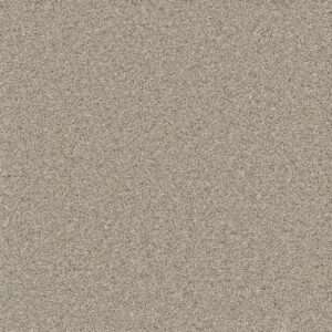 Dreamweaver Carpet Natural Wonder I Spirit Carpet 3345_527