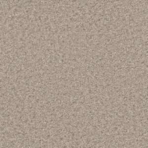 Dreamweaver Carpet Natural Wonder I Swiss Coffee Carpet 3345_538