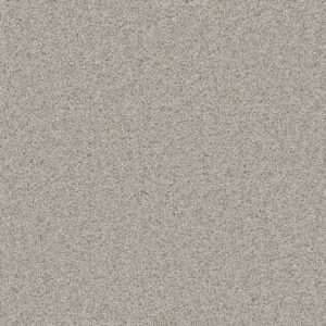 Dreamweaver Carpet Natural Wonder I Playful Carpet 3345_553