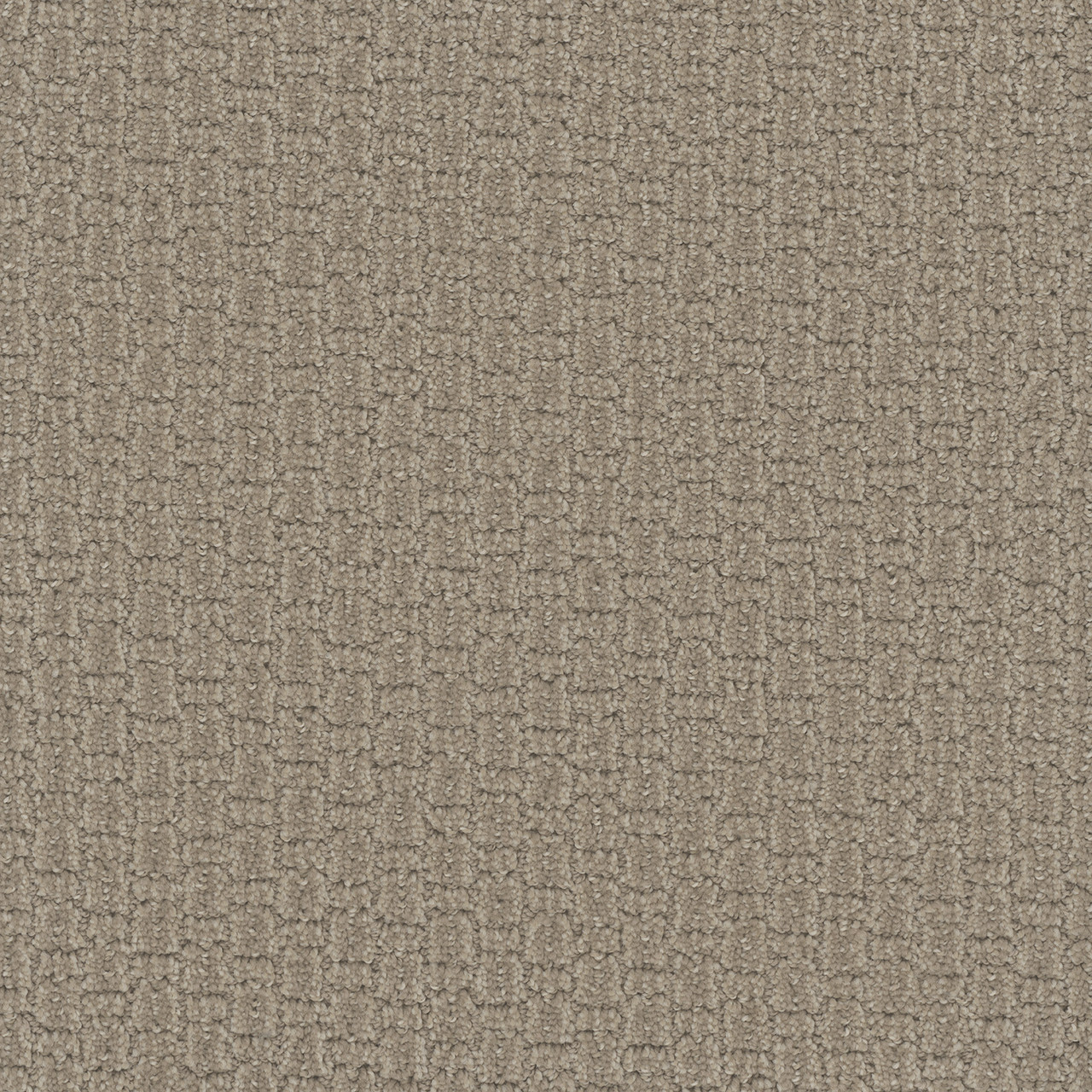 Dreamweaver Carpet Grand Isle Almond Bark Carpet 3428_2025