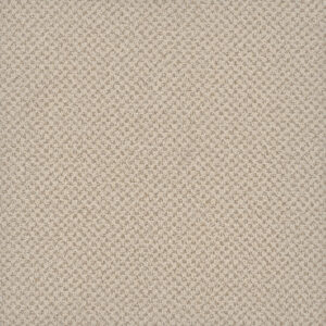Dreamweaver Carpet Vintage Charm Snow Cream Carpet 3435_2844