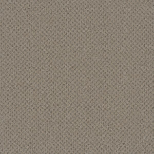 Dreamweaver Carpet Vintage Charm Skipping Carpet 3435_2847