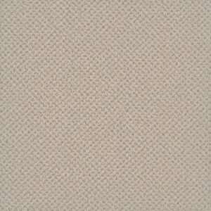 Dreamweaver Carpet Vintage Charm Pearl Carpet 3435_2848