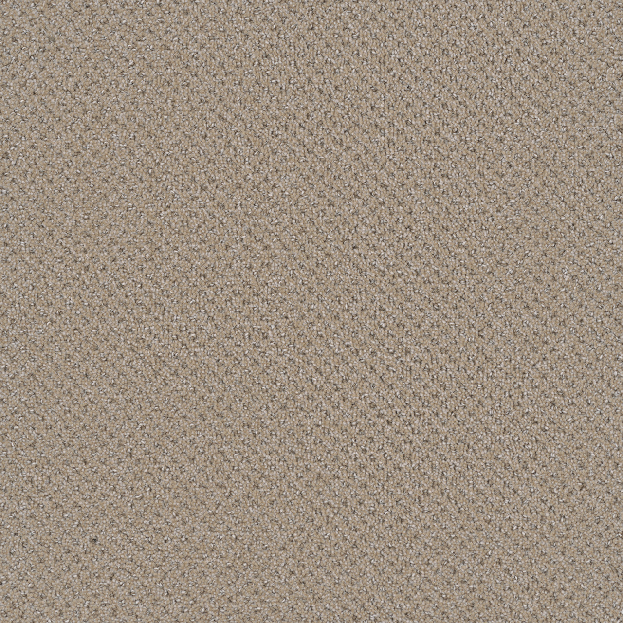Dreamweaver Carpet Vintage Charm Cosmo Carpet 3435_2849