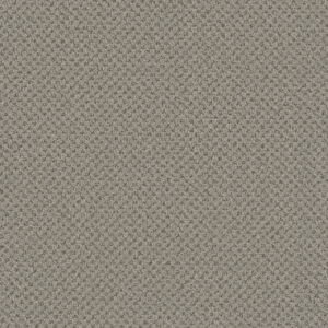 Dreamweaver Carpet Vintage Charm Greige Carpet 3435_2850