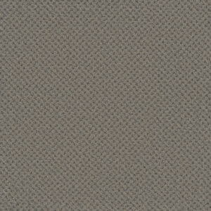 Dreamweaver Carpet Vintage Charm North Star Carpet 3435_2852