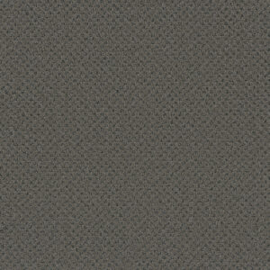 Dreamweaver Carpet Vintage Charm Deep Secret Carpet 3435_2857