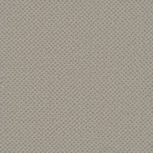 Dreamweaver Carpet Vintage Charm Heirloom Carpet 3435_2861